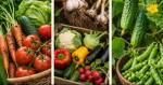 Nou e-book GRATUIT: cum să cultivi legume cu succes pas cu pas + bonus