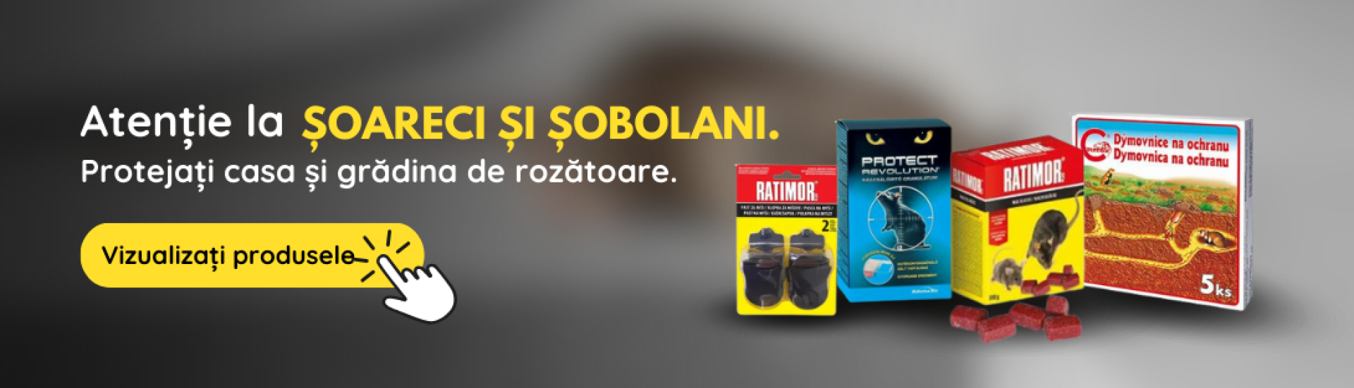 RO Myši (8,9,10,11)